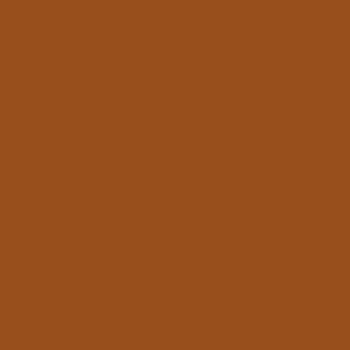 Ranger Belt