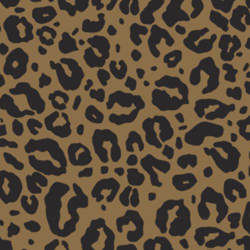 Graphic Bandana