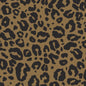 Graphic Bandana