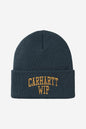 University WIP script Beanie