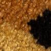 Mallard Rug